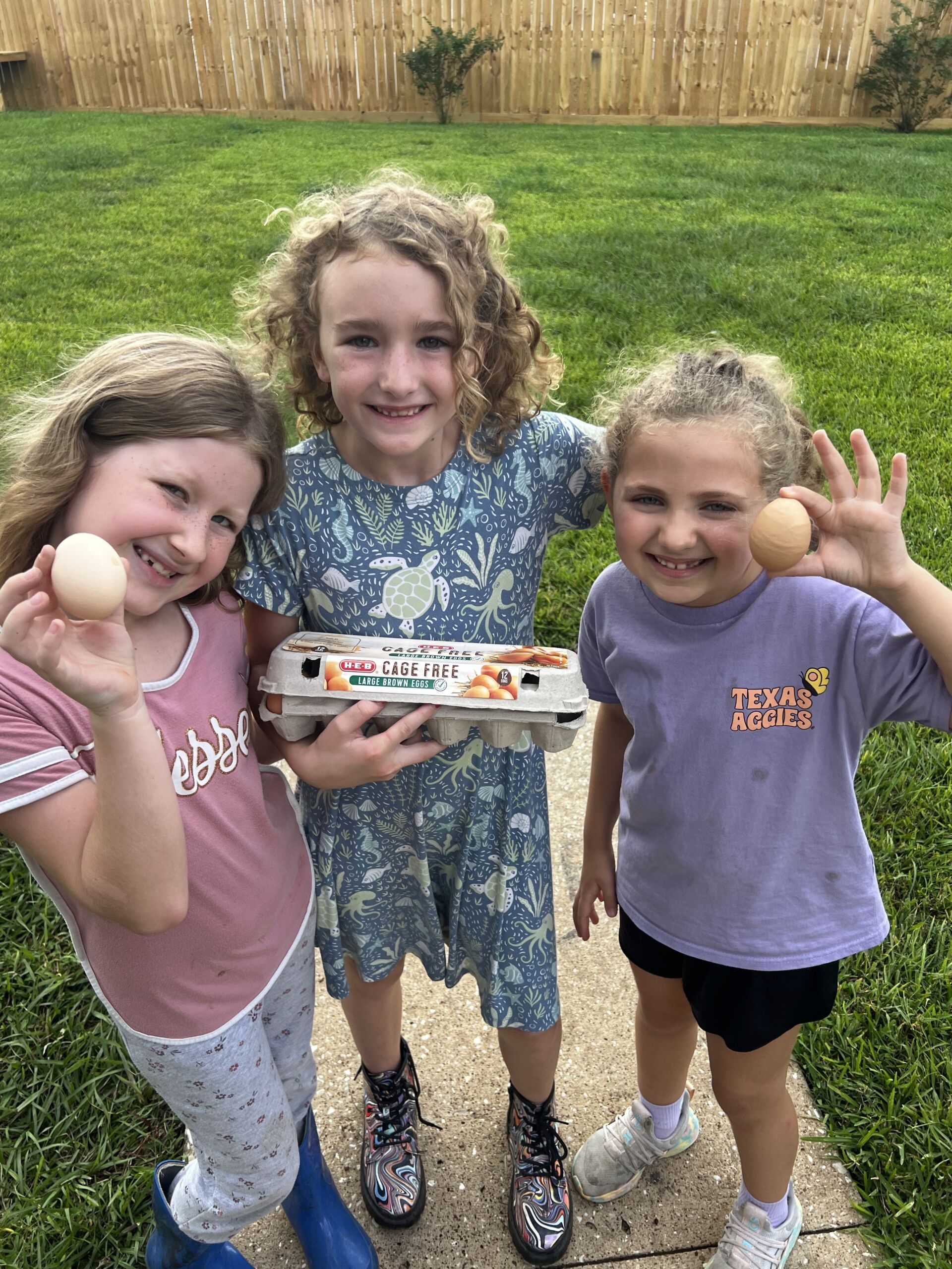 Advanced STEM education projects